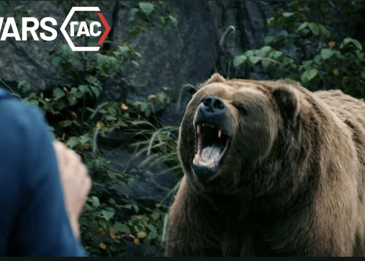 Útoky medveďov a divých zvierat na človeka